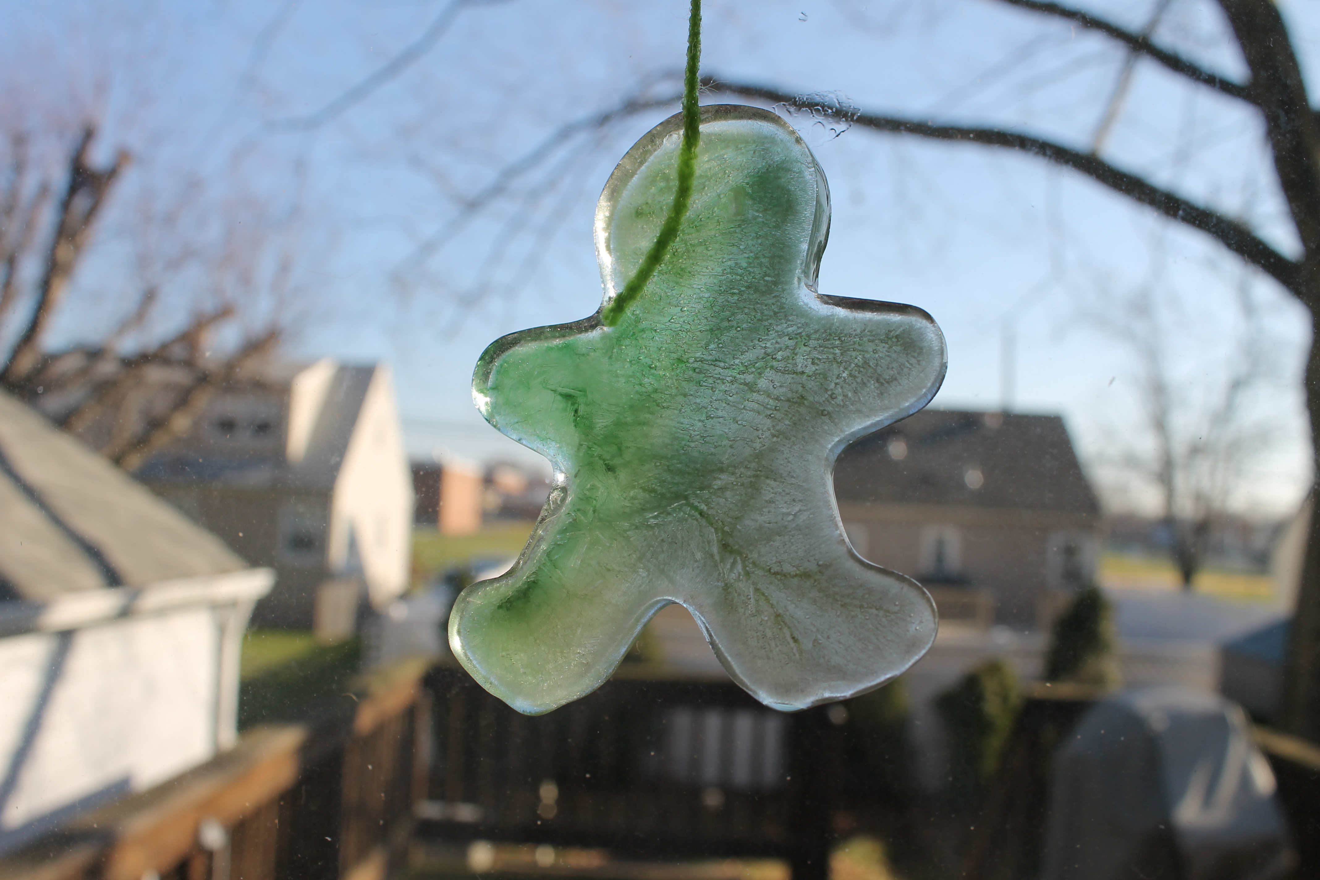Cookie Cutter Ice Ornaments