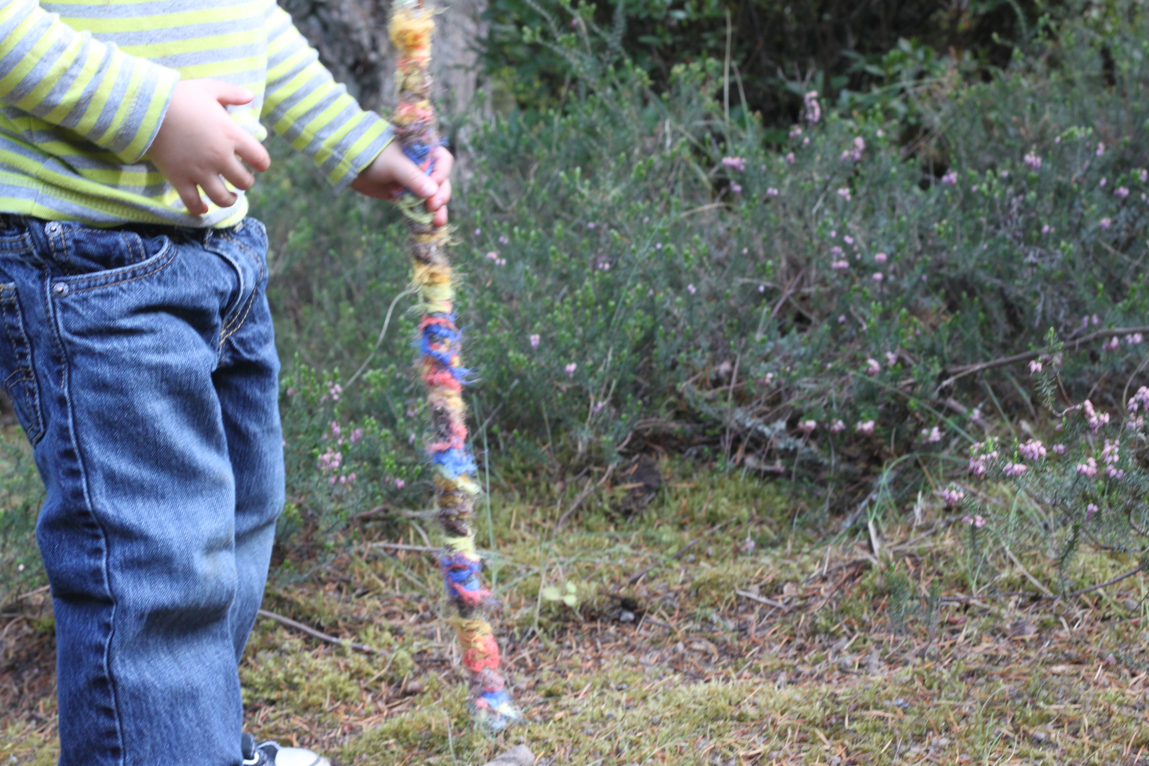 Nature Trail Walking Stick
