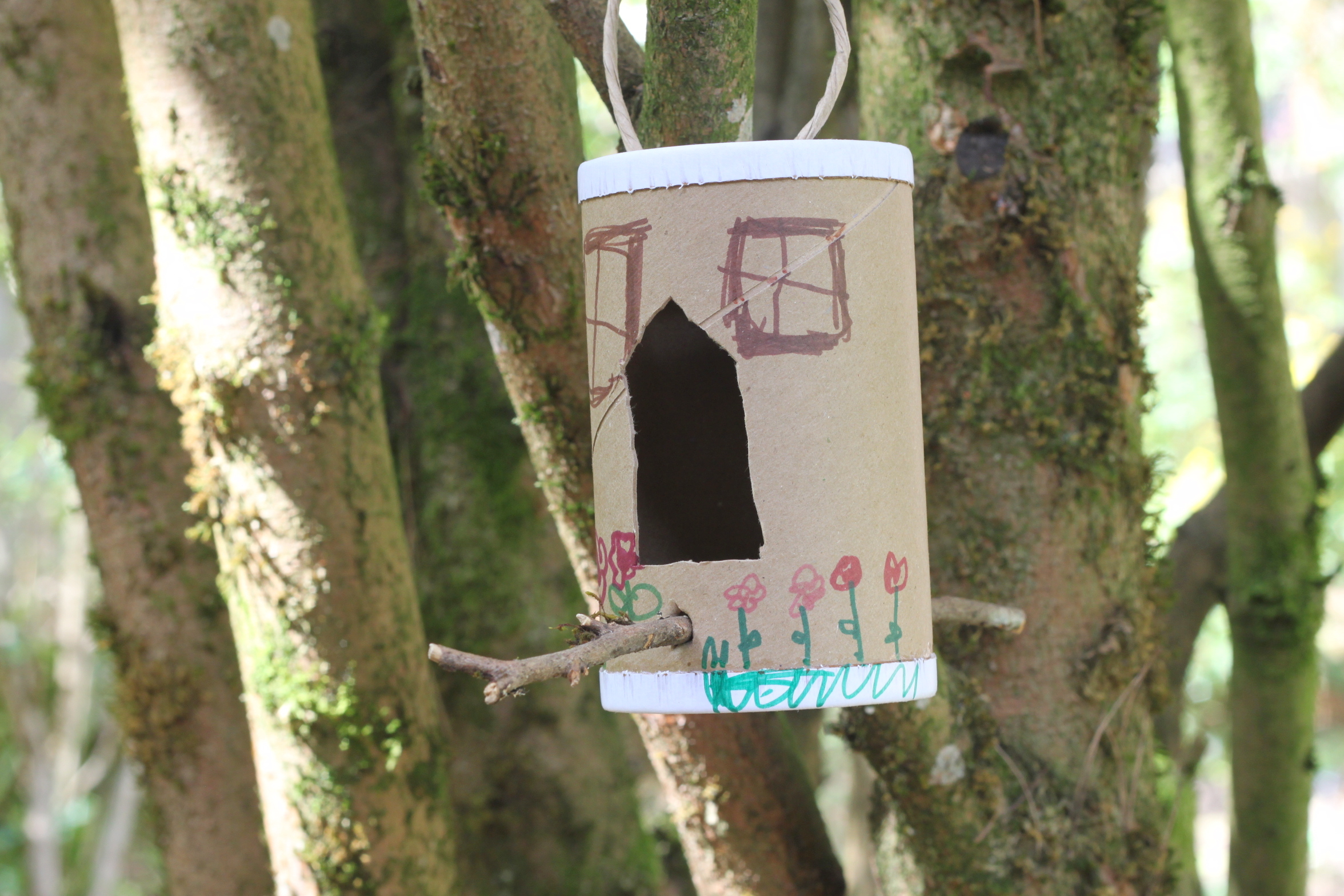 Salt Container Bird Feeder