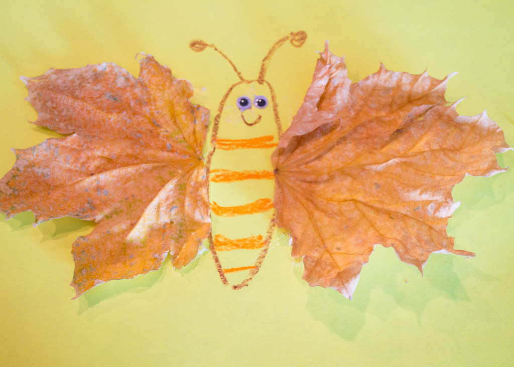 Leaf Butterfly