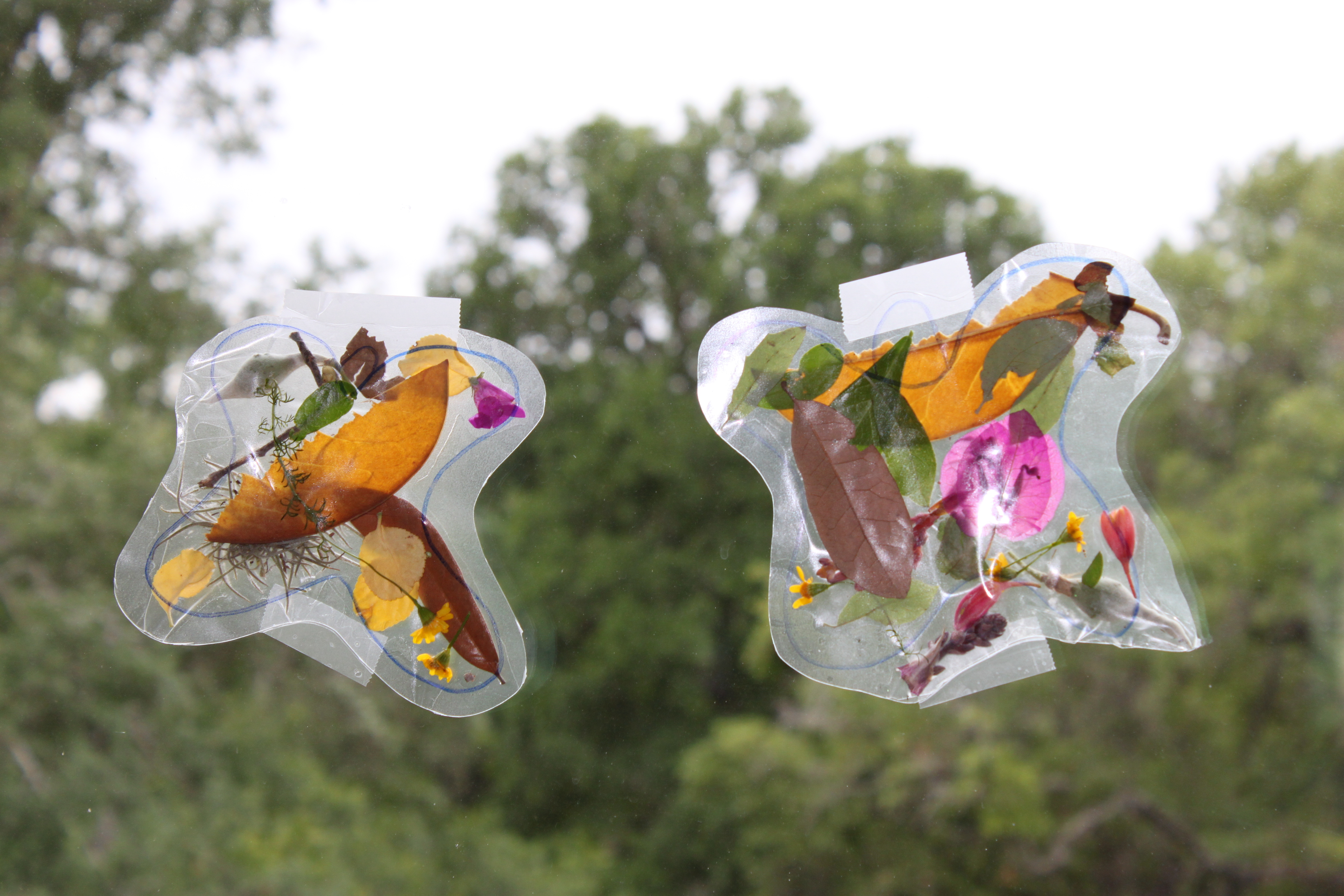 Nature Butterfly Collage