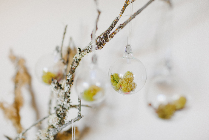 Terrarium Ornaments
