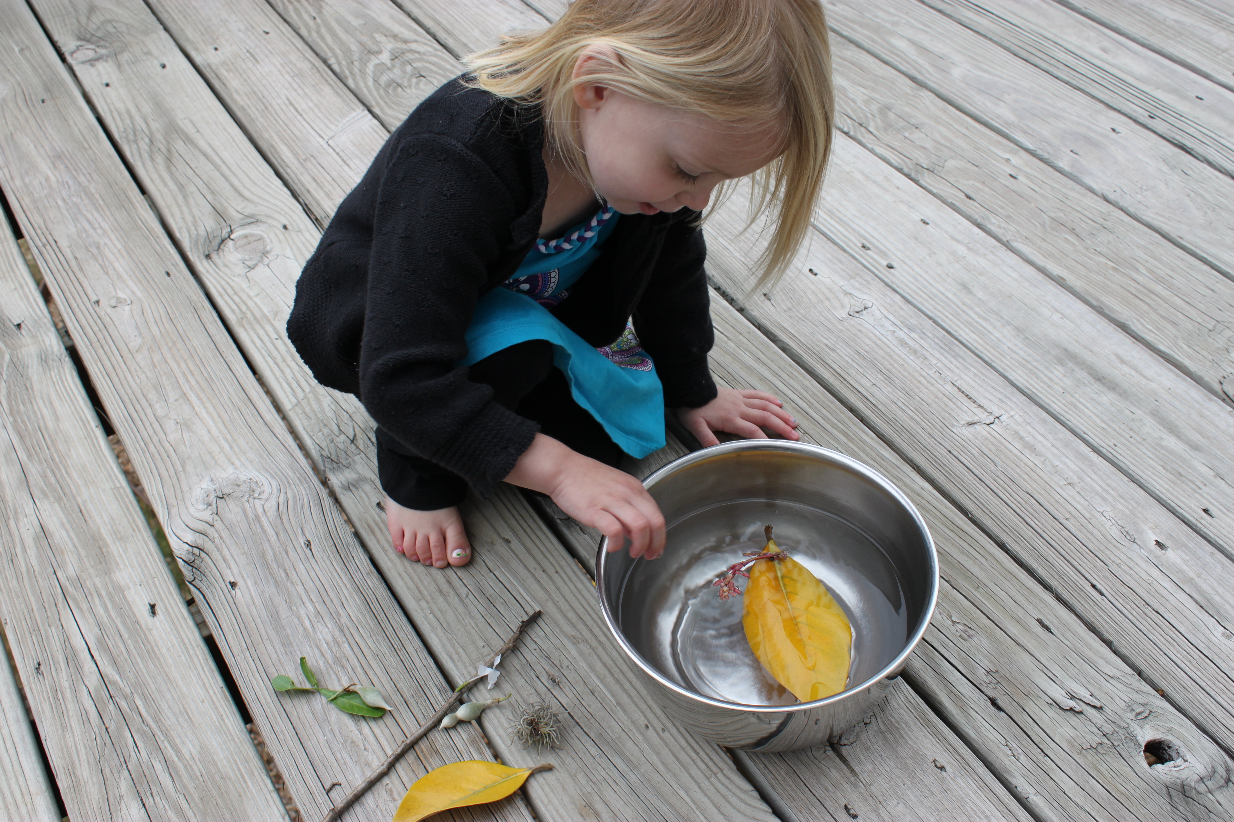 Sink or Float? Nature Experiment