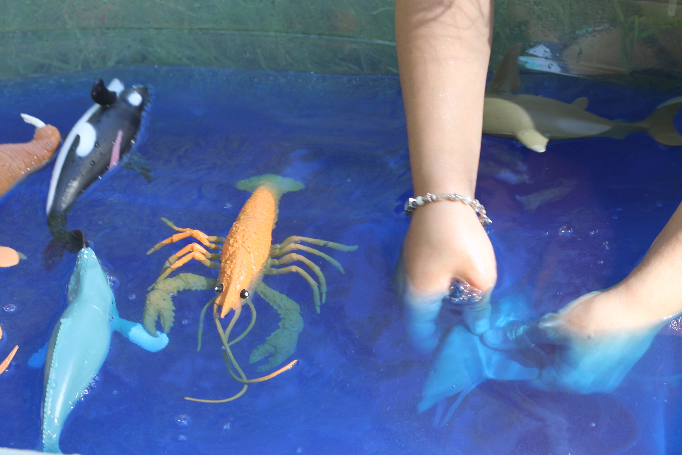 Ocean Sensory Tray