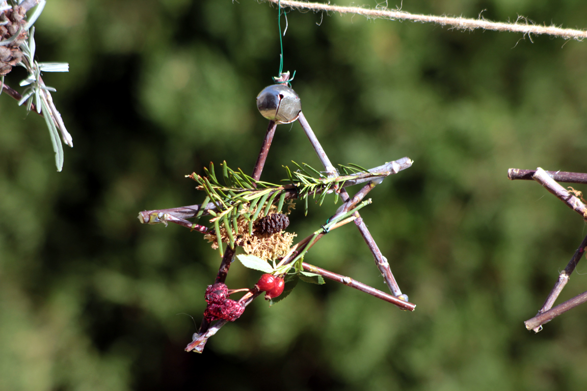 Twig Stars