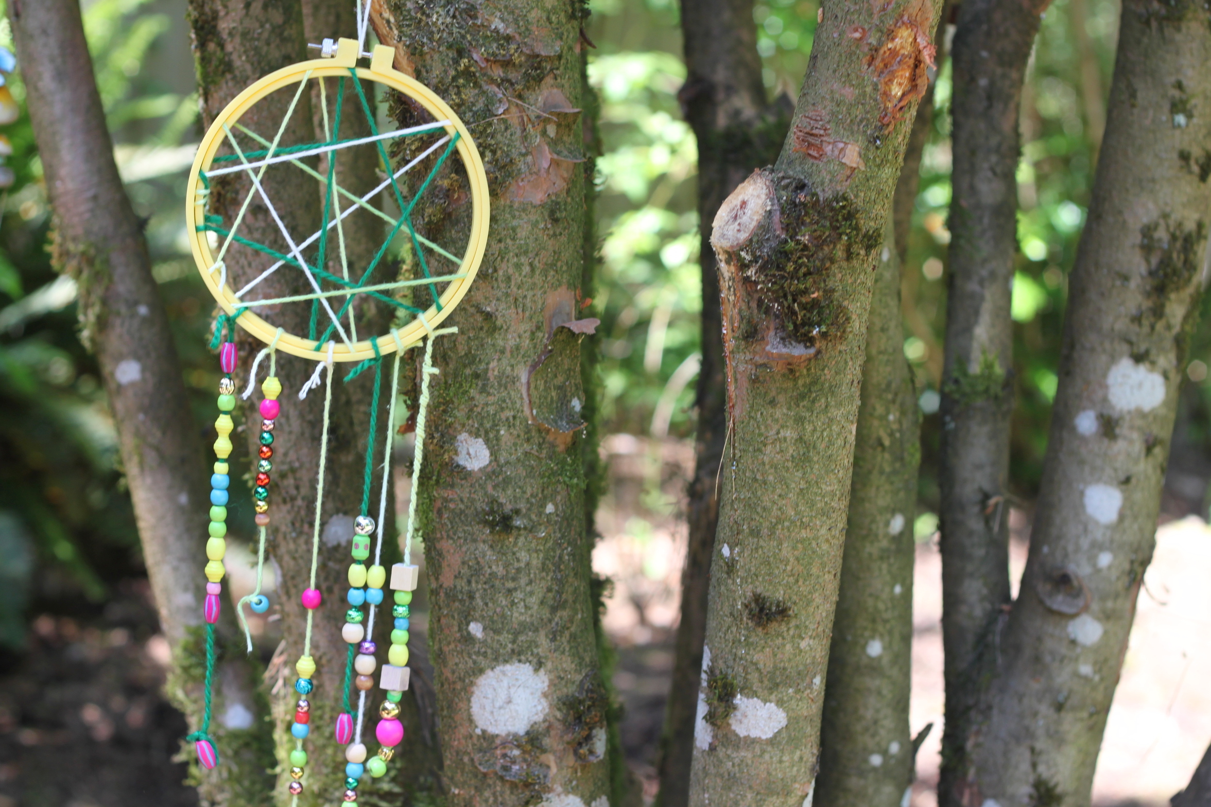 Dream Catcher