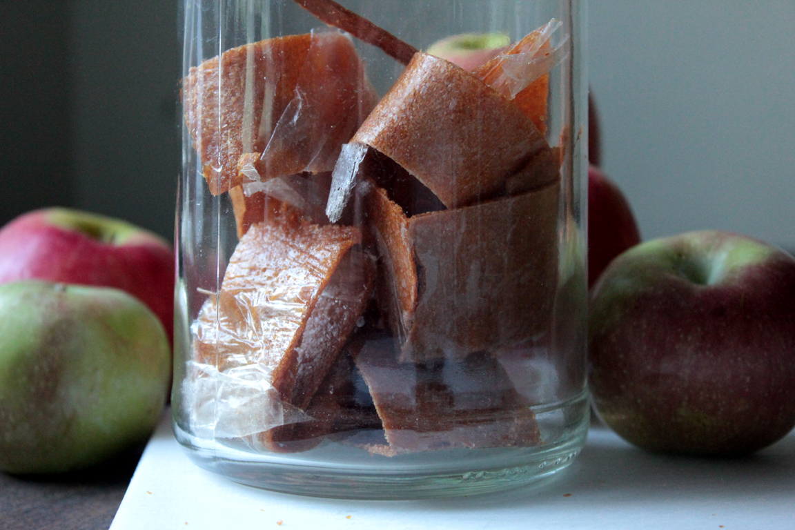Homemade Fruit Leather and Apple Chips