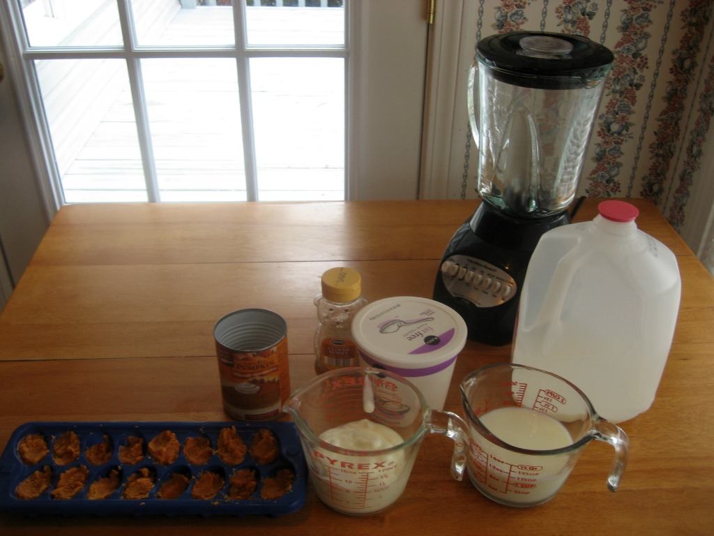 Pumpkin Smoothie