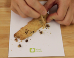 Chocolate Chip Cookie Excavation