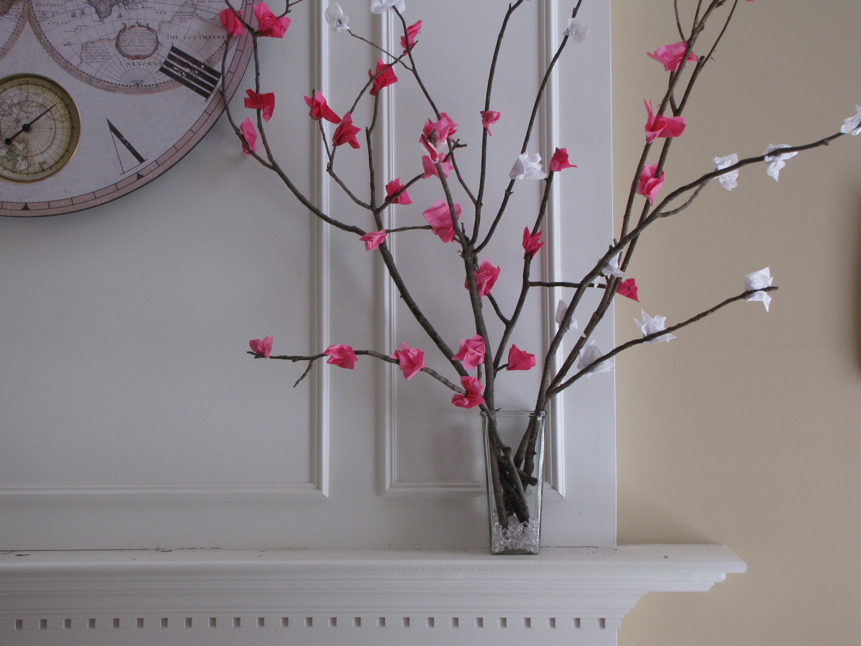 Blooming Cherry Trees