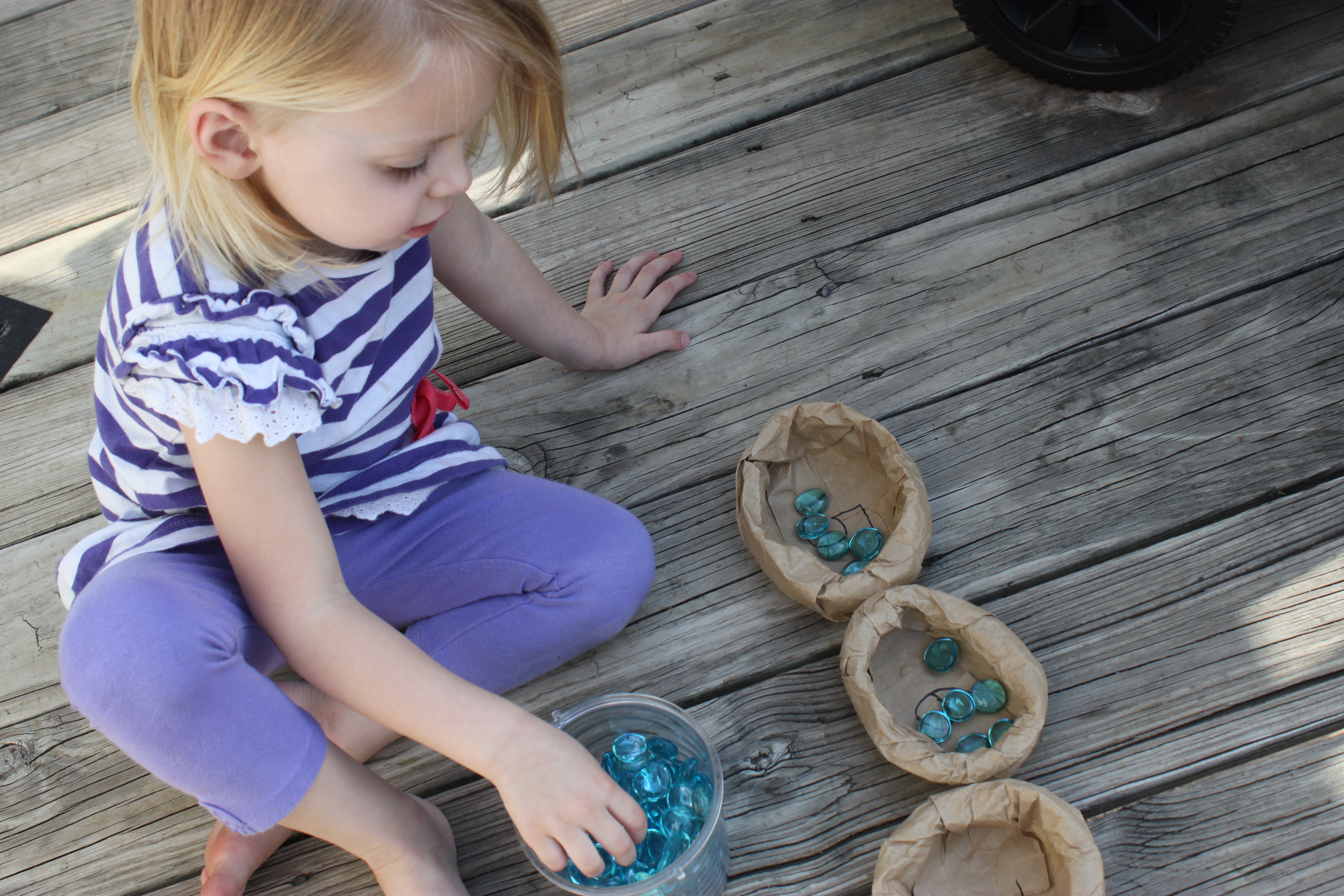Bird Nest Counting