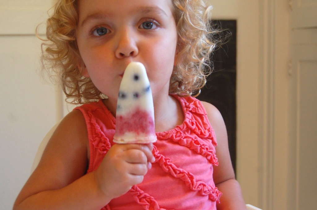 Yogurt and Berry Popsicle