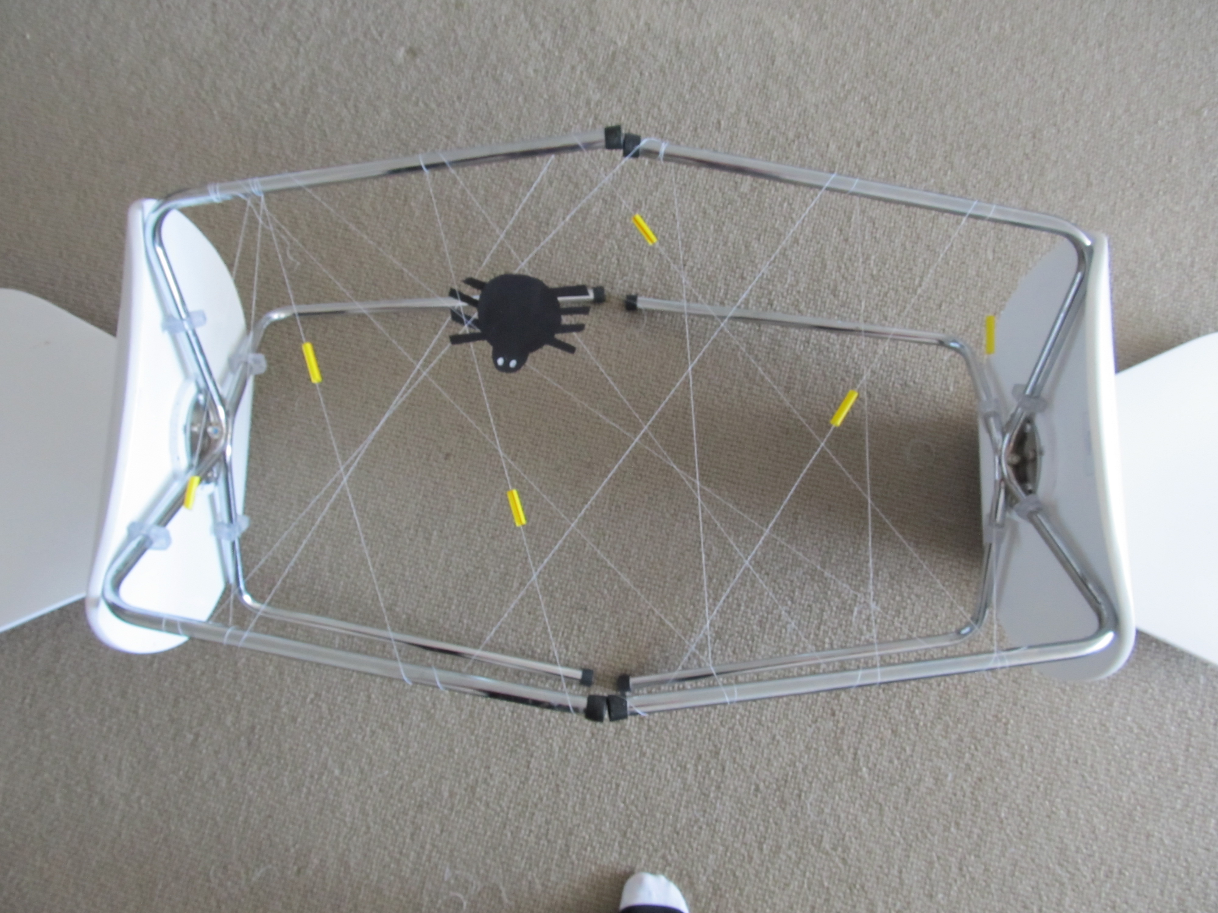 Creating a Simple Spider Web
