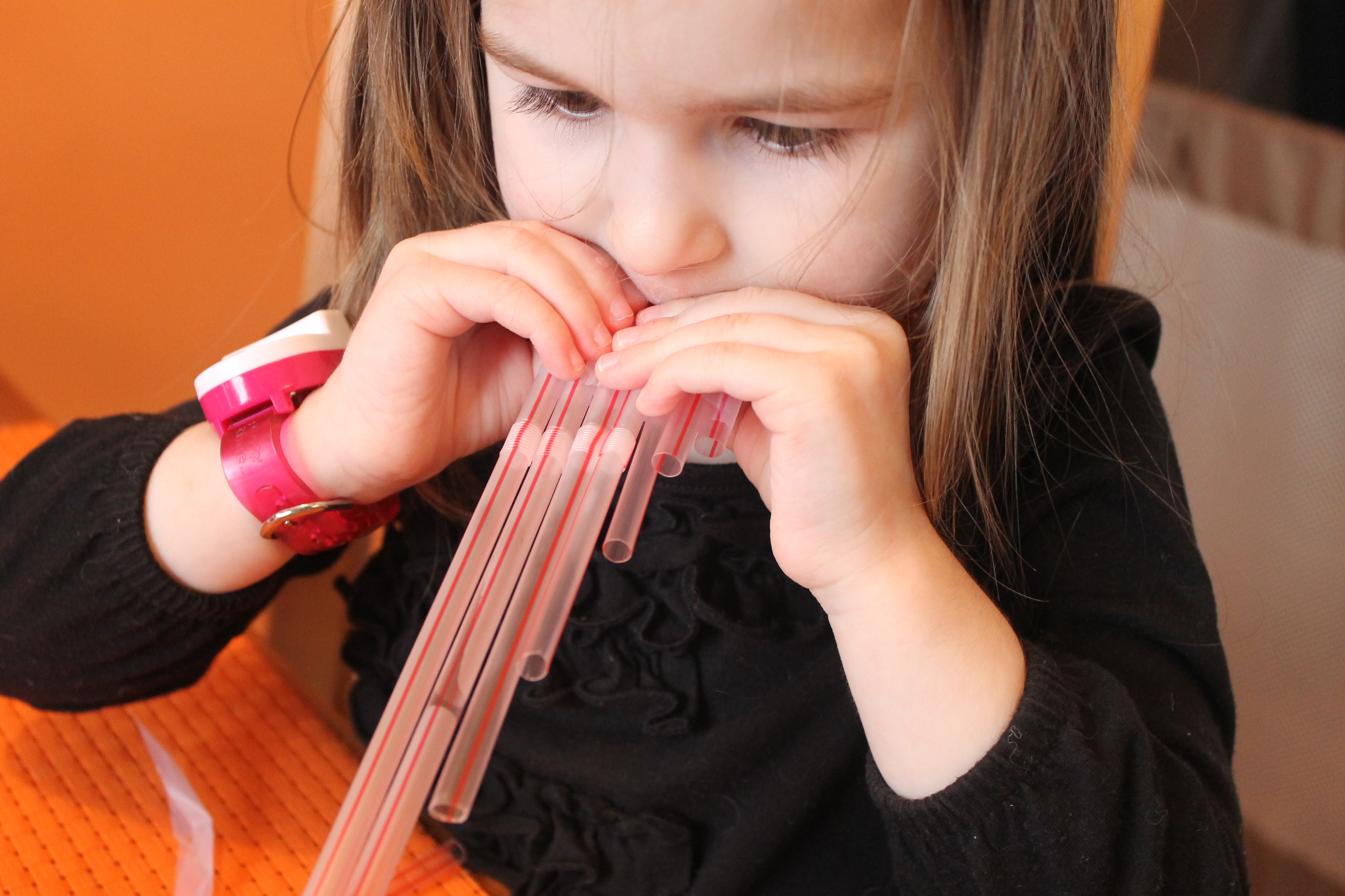 Straw Flute