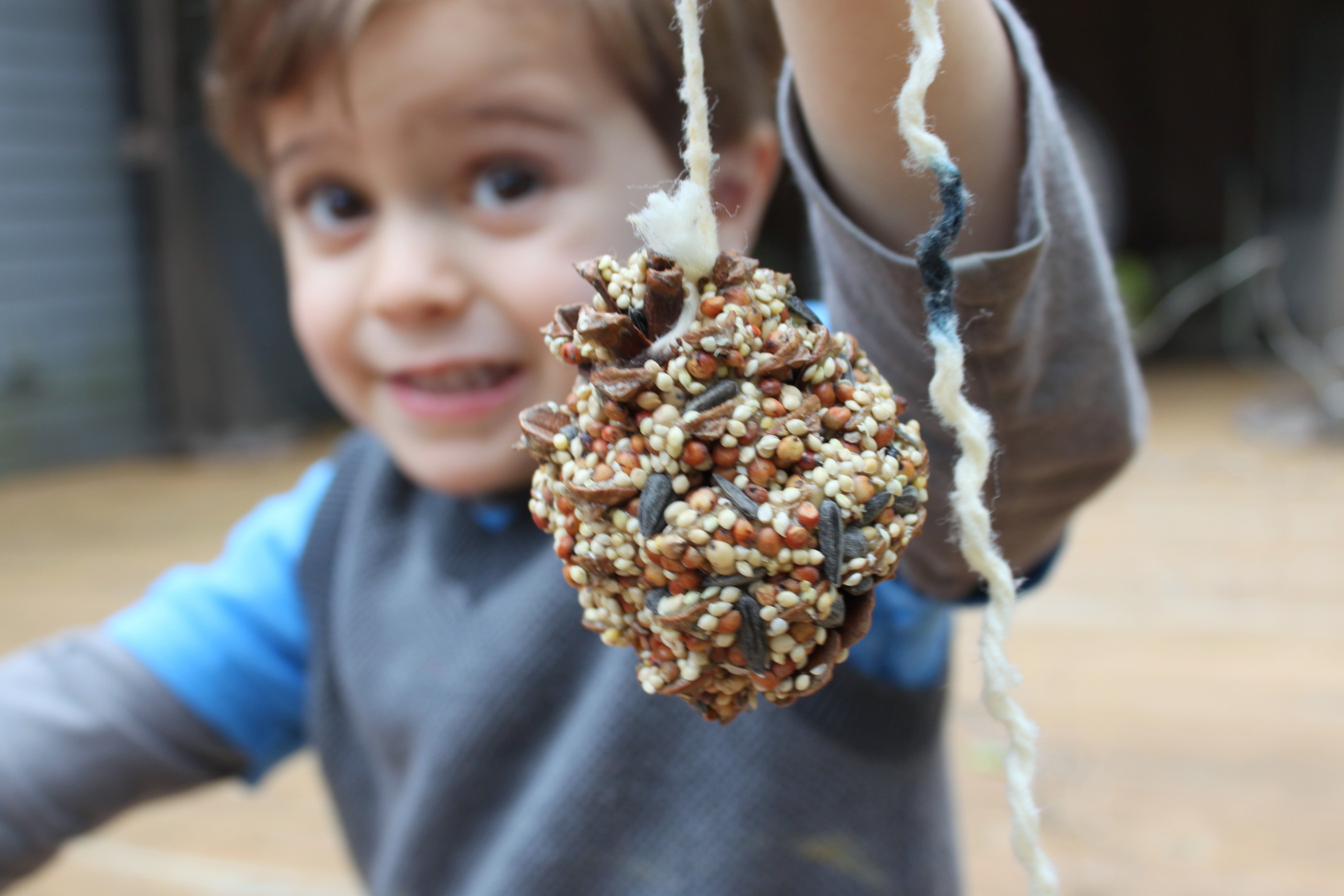PIne Cone Bird Feeder