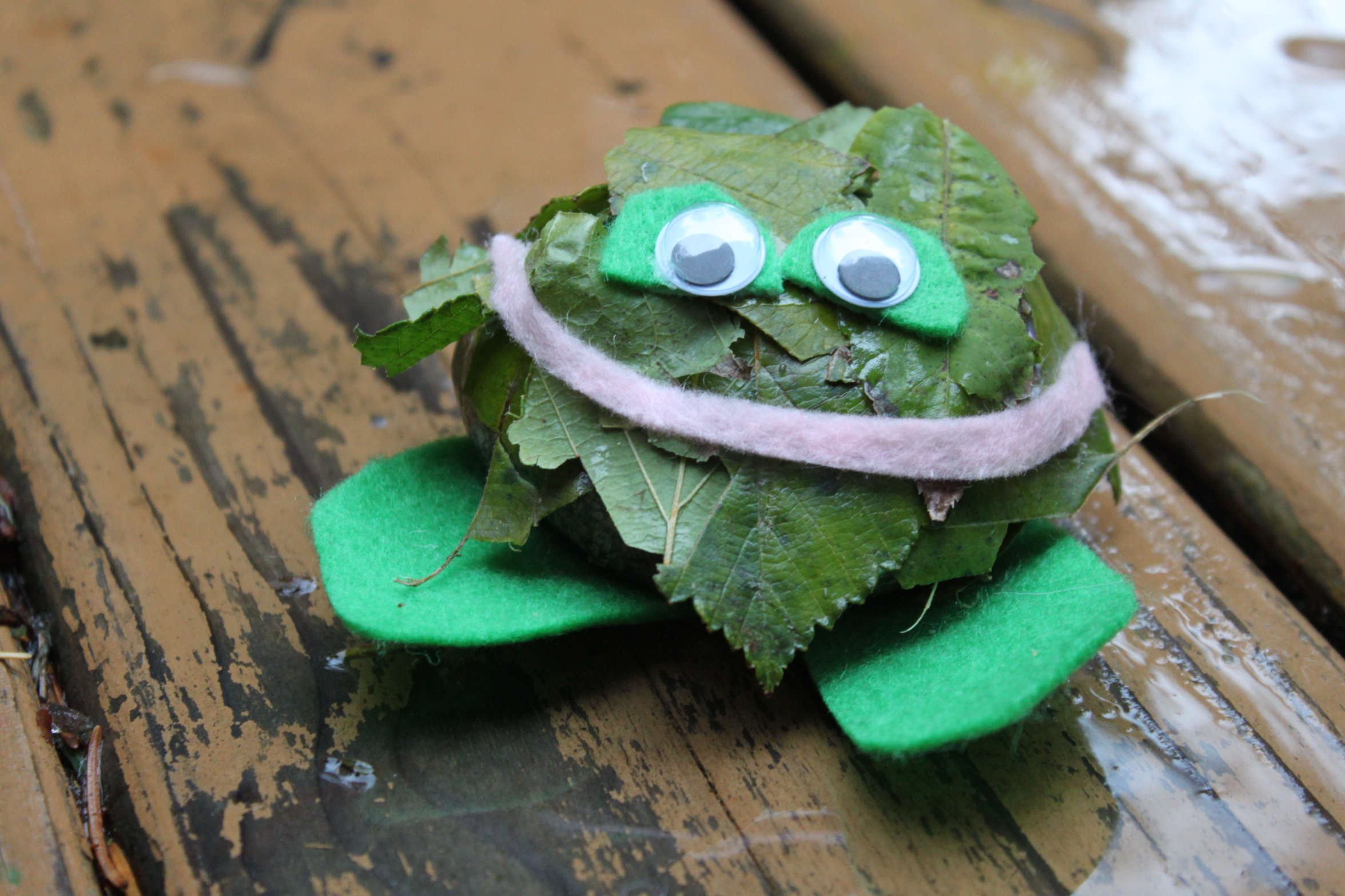 Frog Rock