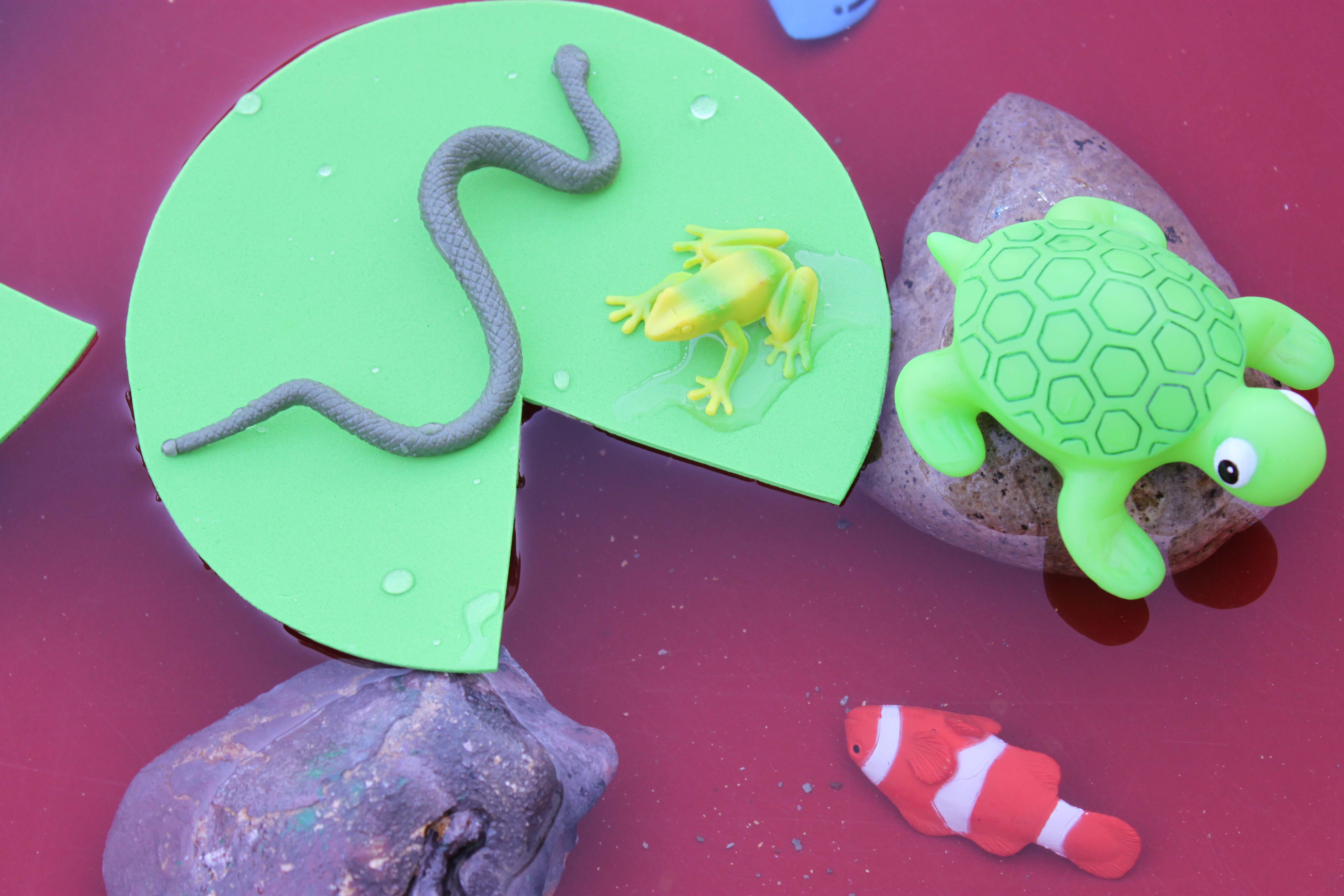 Frog Pond Water Play