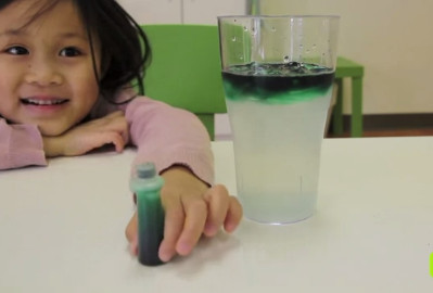 Salt Water vs. Fresh Water
