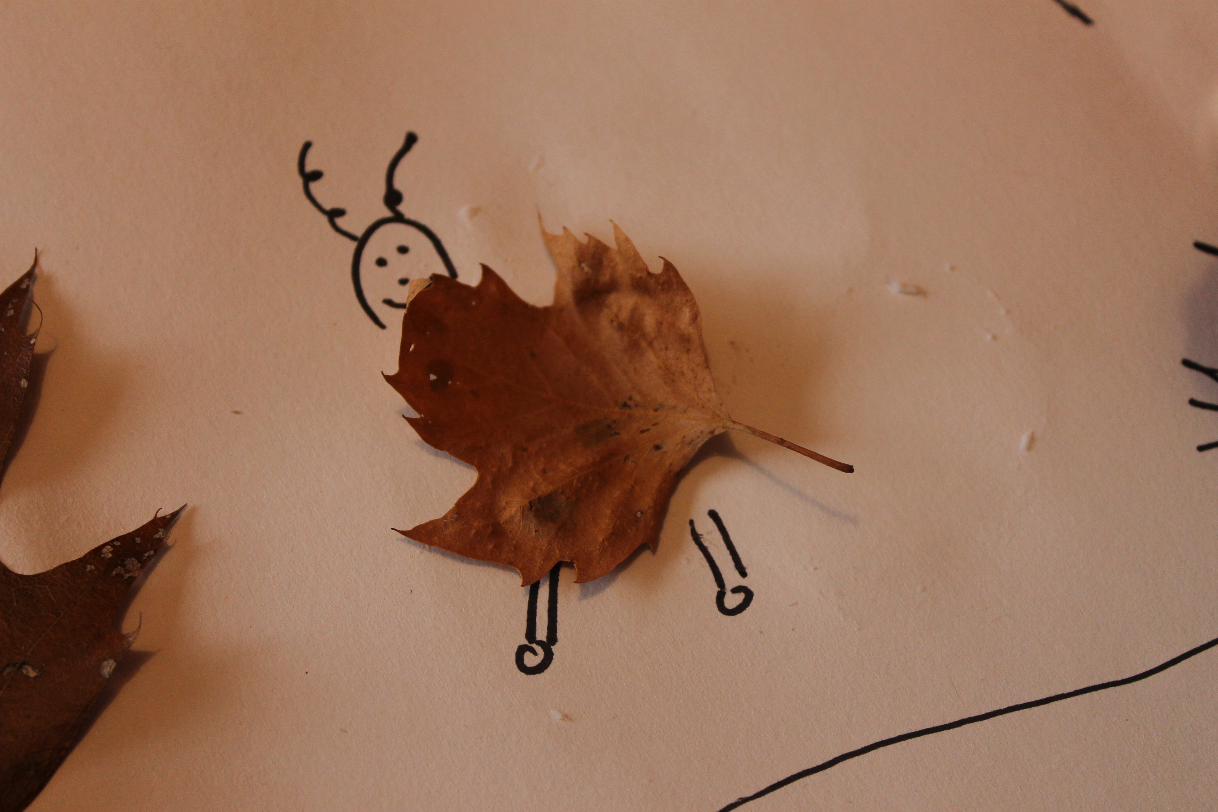 Animal Leaf Friends