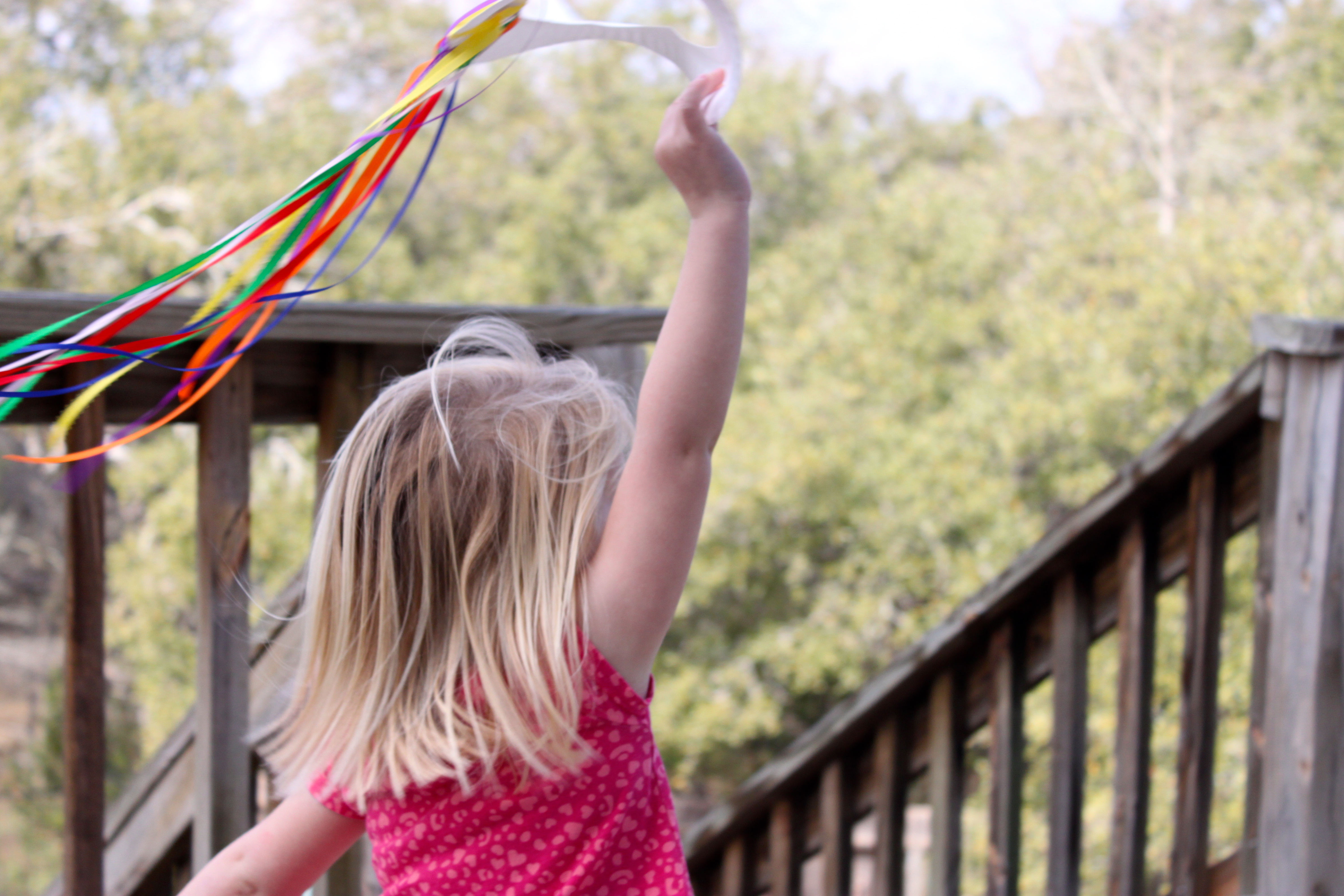 Paper Plate Kite