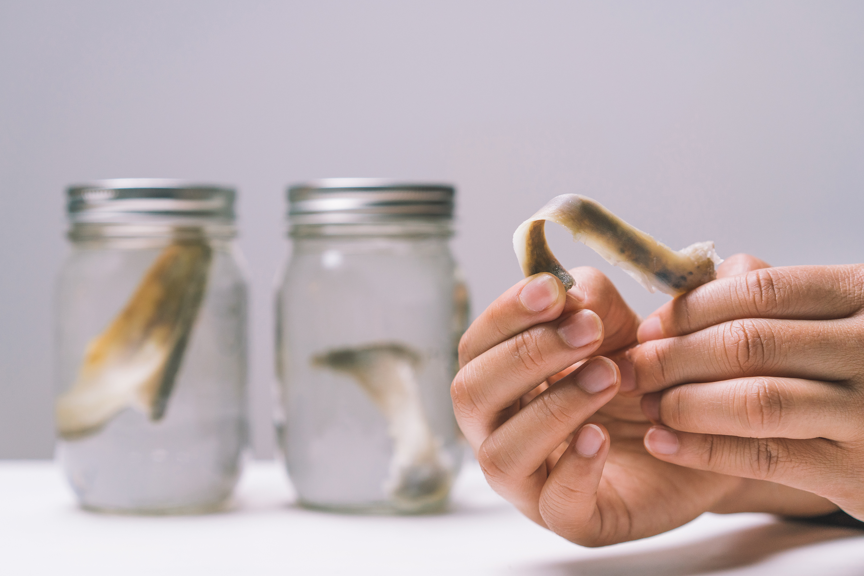Bending Turkey Bones