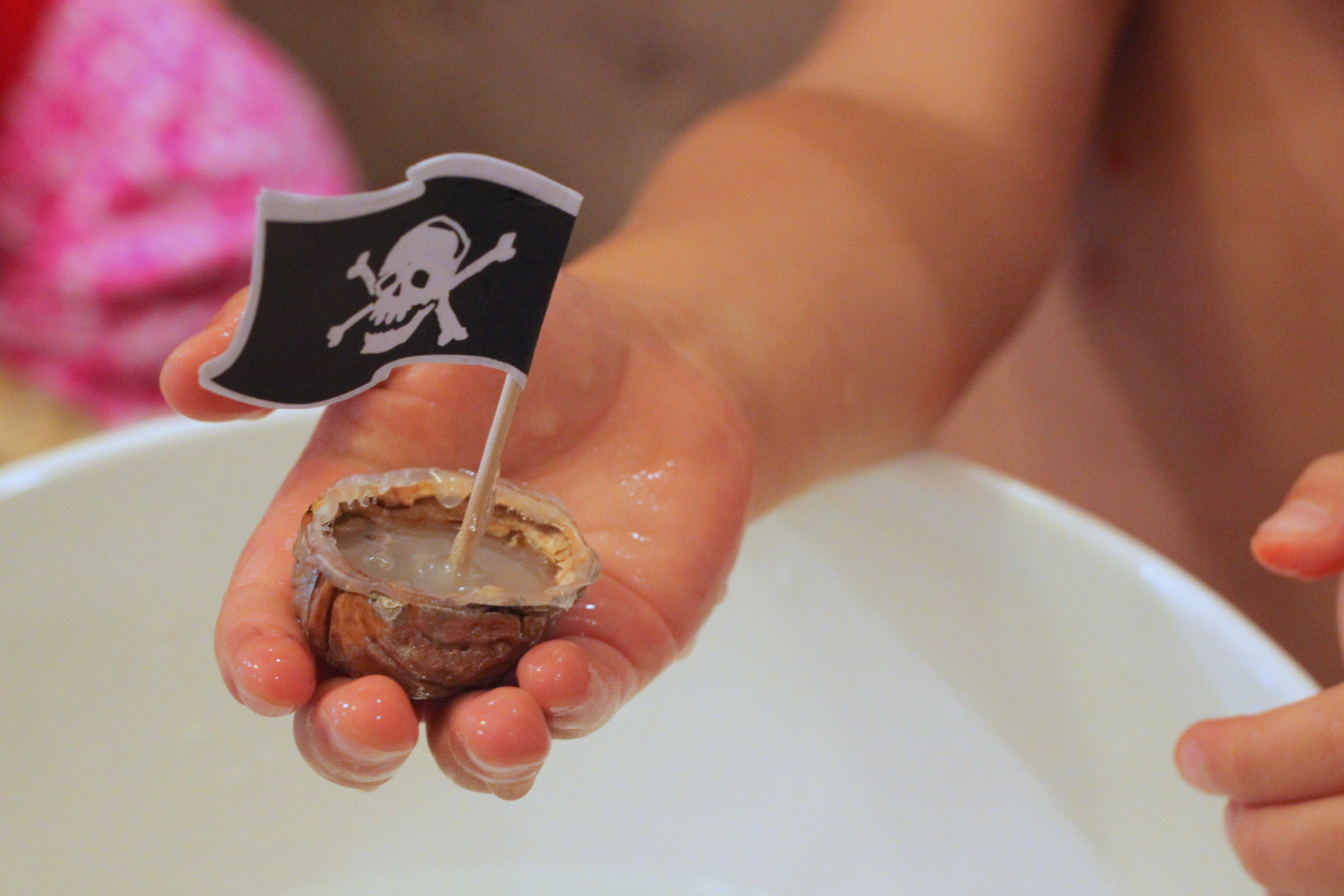 Walnut Boat