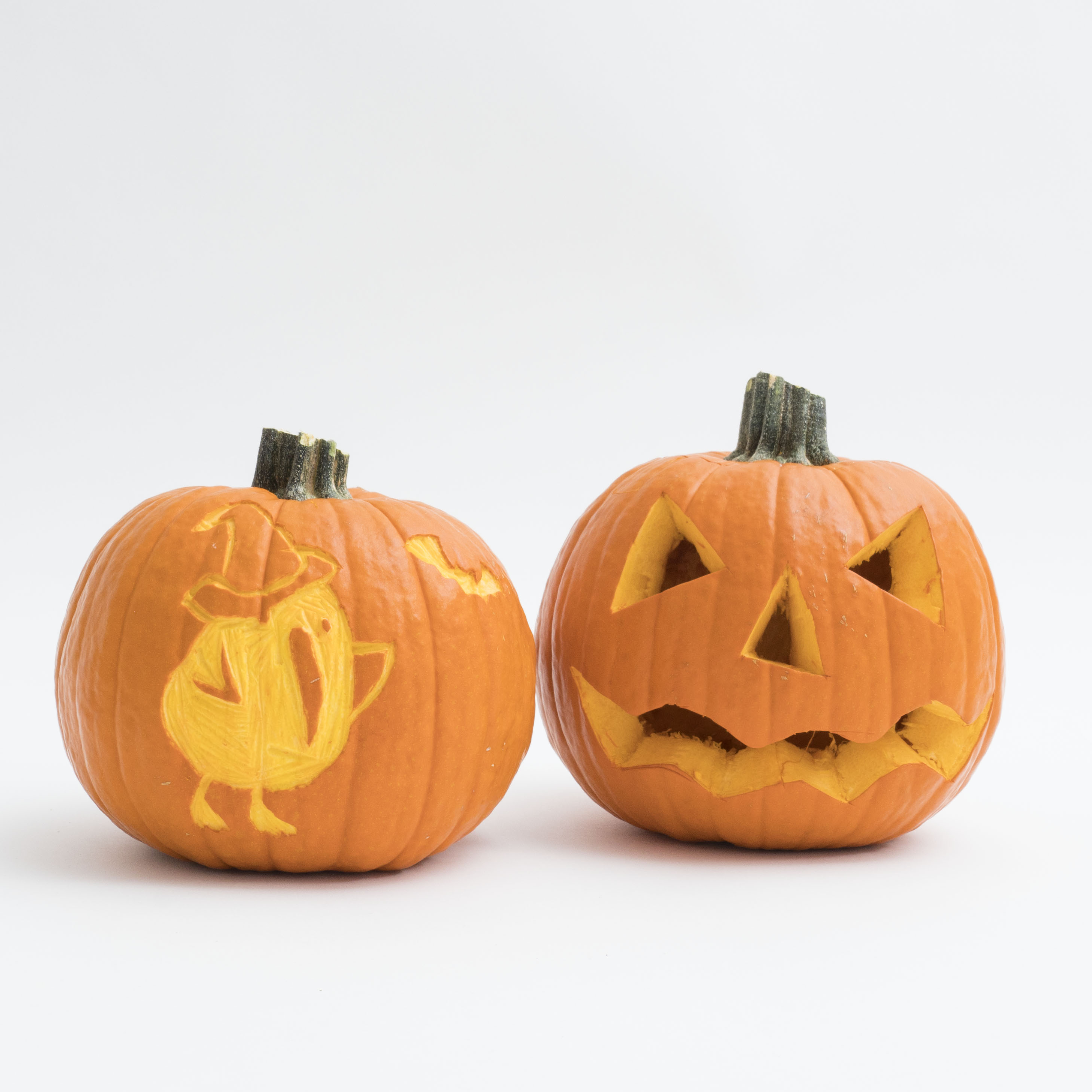 KiwiCo Pumpkin Carving