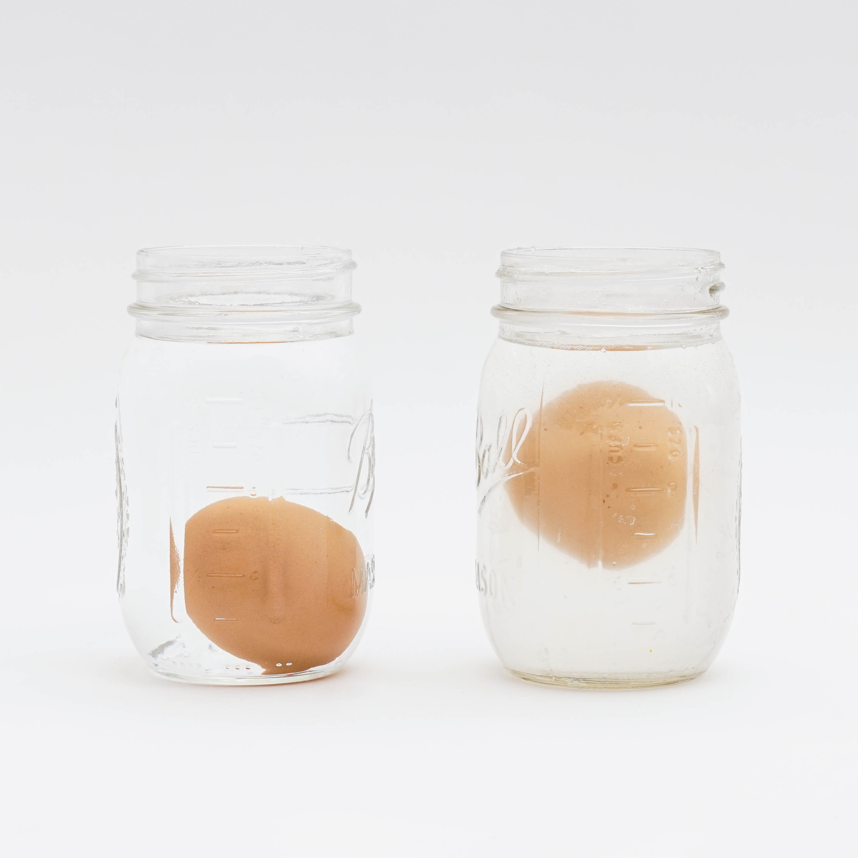 Floating Egg