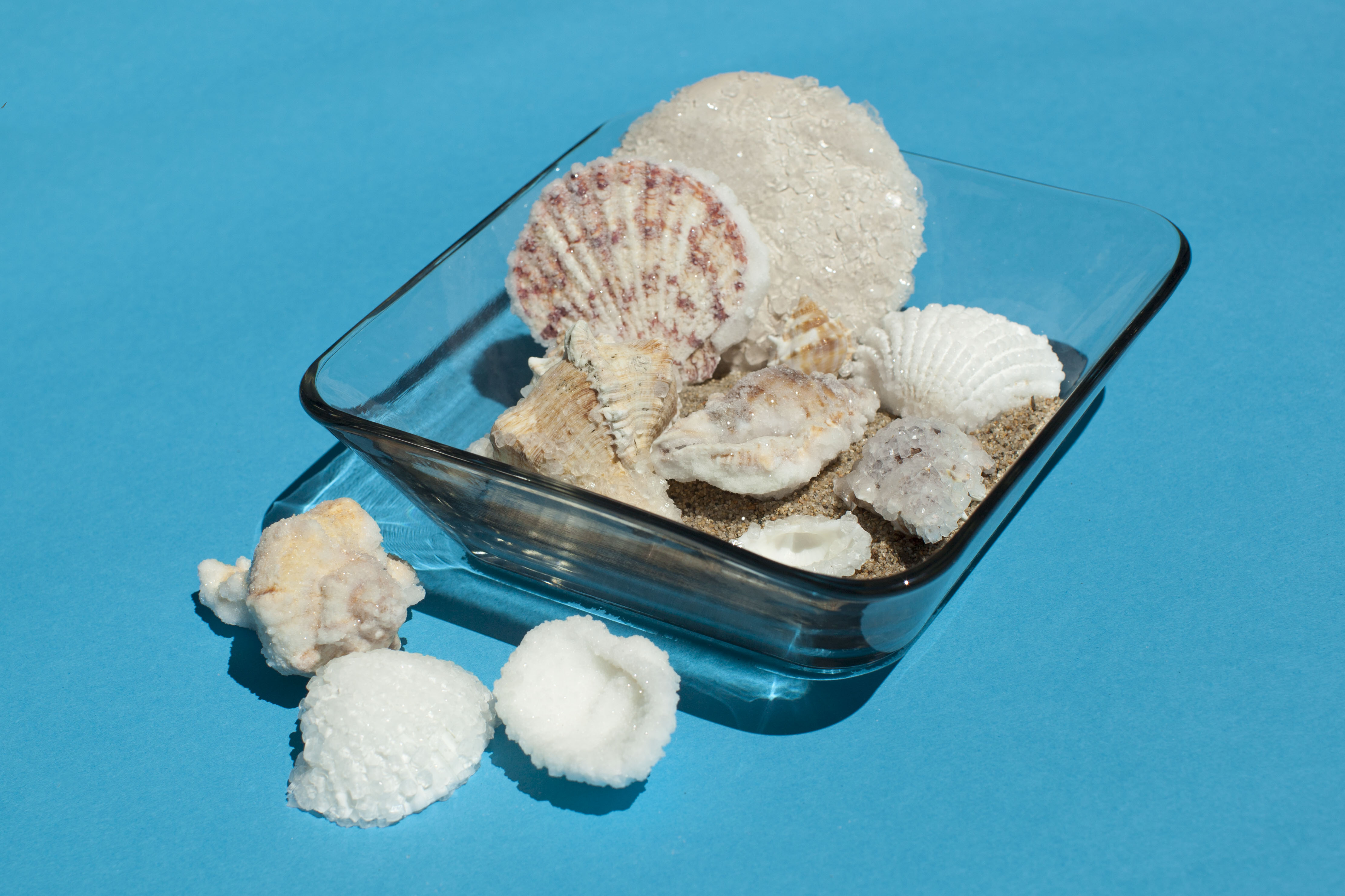 Crystal Seashells